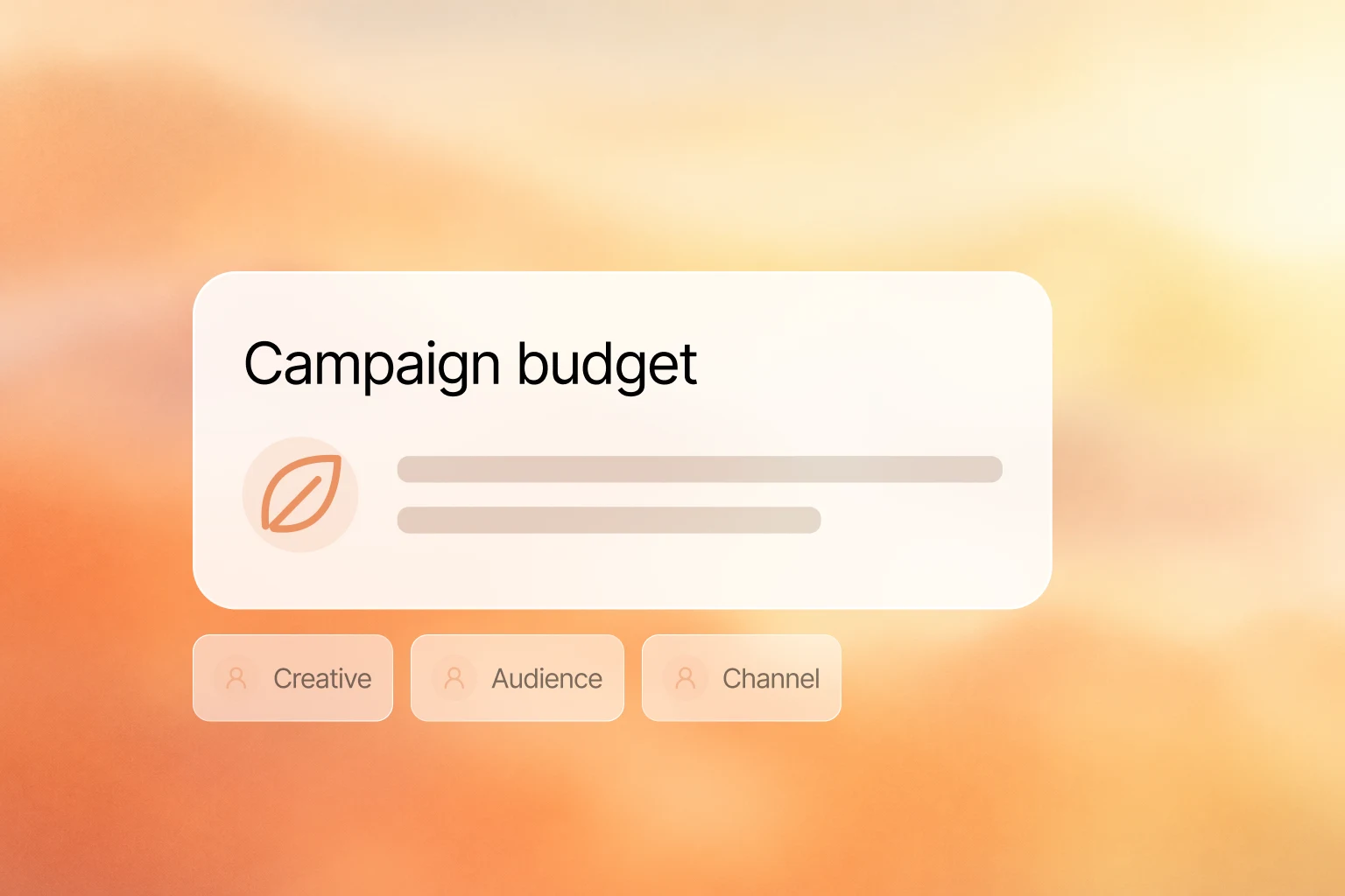 Campaign budget split across creative, audience and channel.