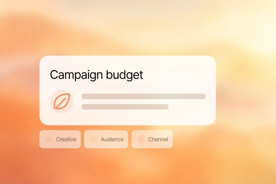 Acquisition can get expensive. Campaign budget, Creative, Audience, Channel.